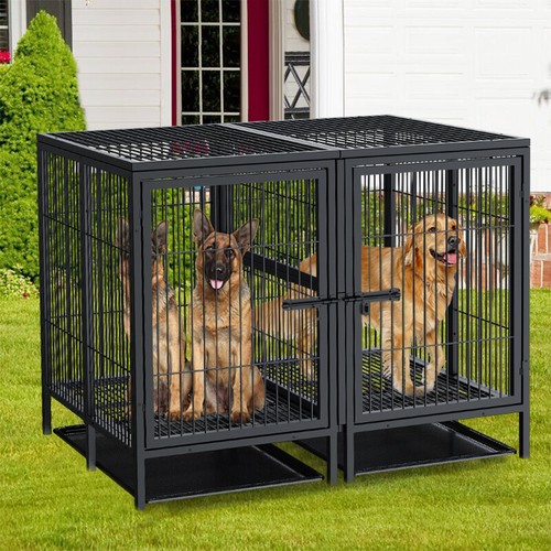 Xxl large double dog cage - large,