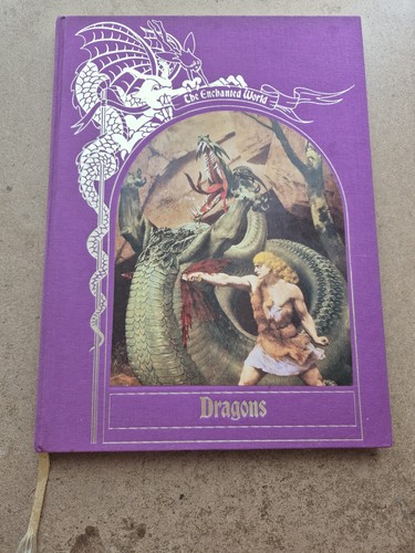 The enchanted world dragons - the,