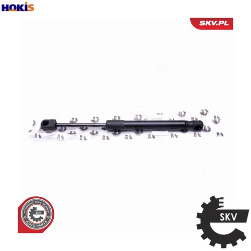 Gas spring bootcargo area - gas,