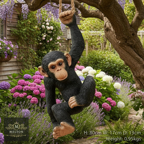 Climbing chimp monkey tree - chimp,