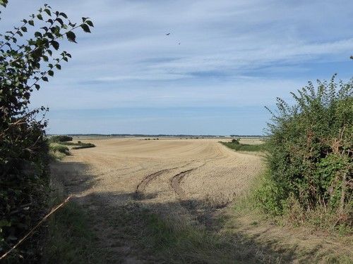 Photo 12x8 stubble field - photo,