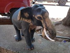 Eco Friendly Natural Handmade Sri Lankan Paper Pulp Elephant (Tusker) Statue New