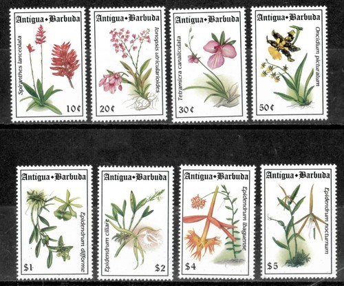 Antigua 1994 flowers - -,