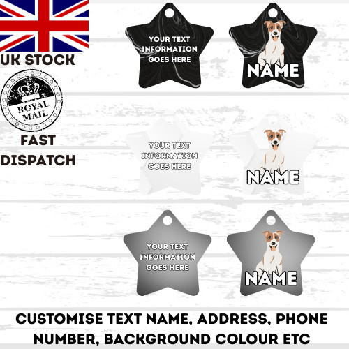 Jack russell dog pet - dog,