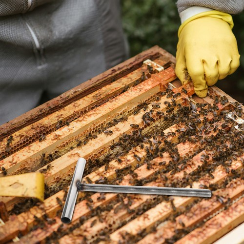 Stainless steel honey - stainless,