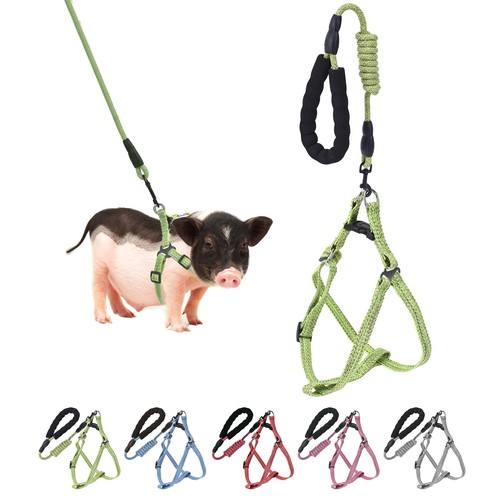 Mini pig harness adjustable - mini, harness,