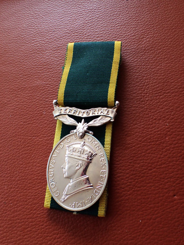 Efficiency medal territorial - efficiency,