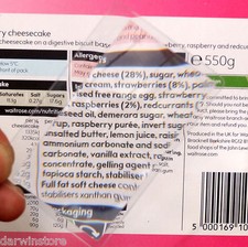 CREDIT CARD Size Magnifier