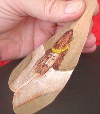 Original Painting of Jesus