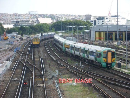 Photo southern emu - southern,