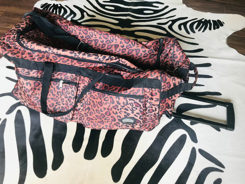 Pacific usa leopard animal - ,