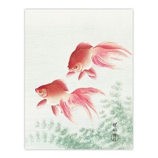 Two Veiltail Goldfish in Pond Vintage Japan Framed Wall Art Print Koson