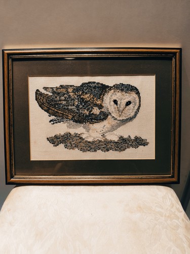 Vintage framed barn owl - vintage,
