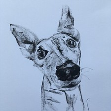 Walkies?? Original signed Ink