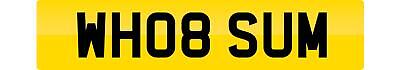 Private number plate wh08 - plate,