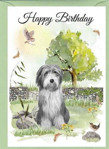 Bearded collie dog - dog, 6")
