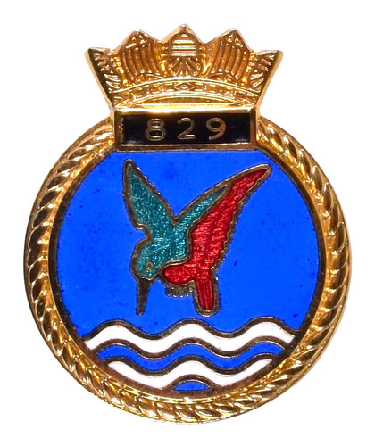 Vintage royal navy - 829, naval