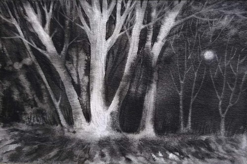 Mysterious forest original - mysterious,