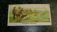 Alexander Boguslavsky - Sports Records 2nd Series No37 - Whippet Racing