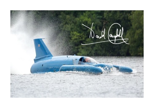 Donald campbell bluebird - donald,
