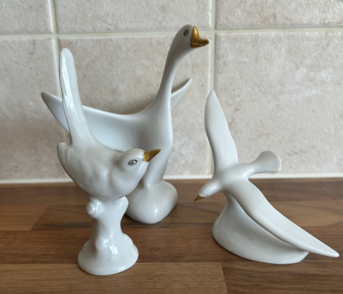 Hollohaza wren swan seagull - hollohaza,
