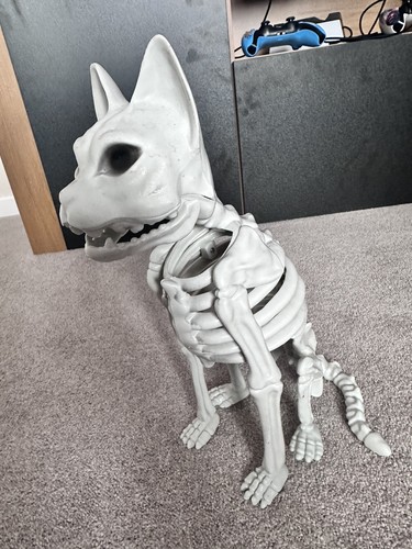 Skeleton cat figurine - skeleton,