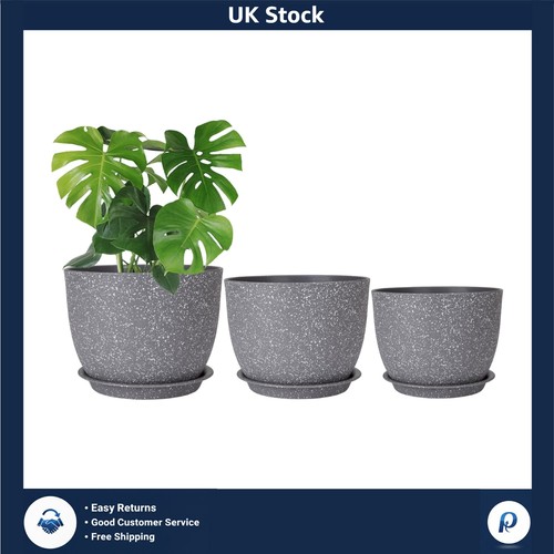 Modern matte self watering - matte,