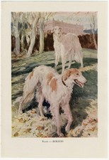 BORZOI VINTAGE 1930'S DOG ART