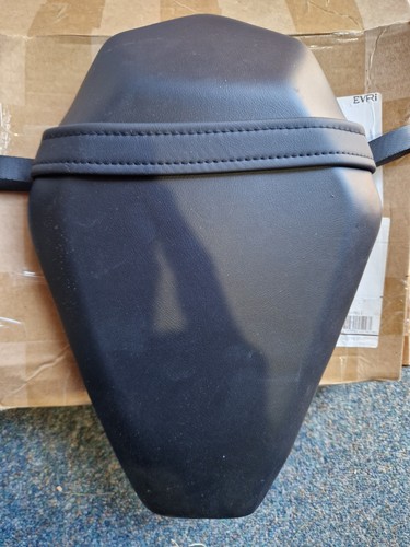 Kawasaki zx10r rear pillion - zx10r,