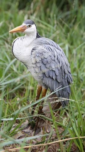 Standing heron garden statue - standing,