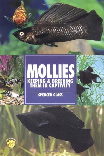 Mollies keeping and - mollies:,