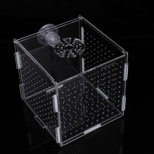 Fish breeding incubator box - fish,