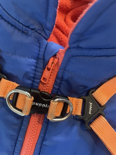 Puppia blue and orange dog - and,