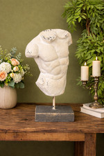 Large Classical Torso