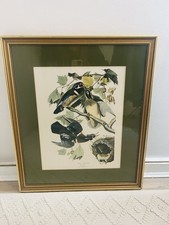 Vintage john james - john, audubon