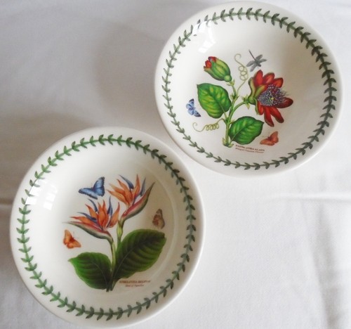 Portmeirion exotic botanic - exotic,