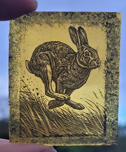 Stained glass hare permanently - stained,