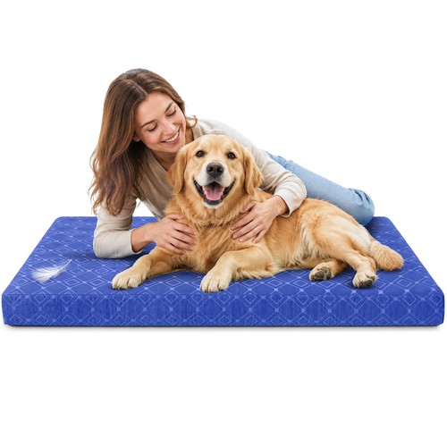Large orthopaedic dog - large, bed