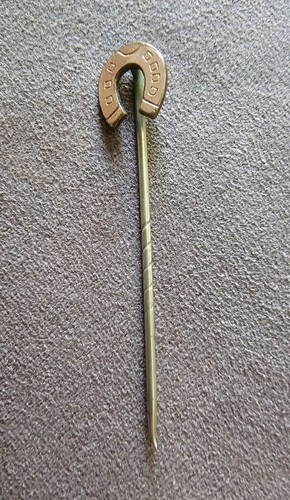 Vintage horseshoe lapel - horseshoe,