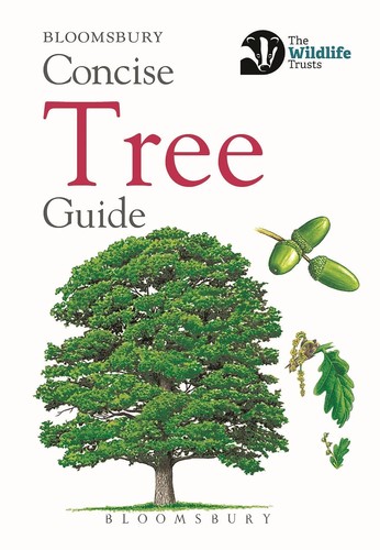Concise tree guide pocket - tree,