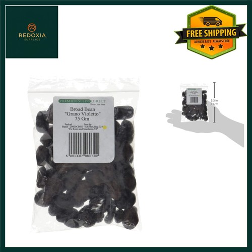 Winter hardy broad bean - broad, grano