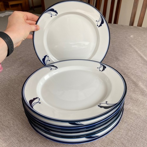 Dansk flora bayberry - dansk, blue