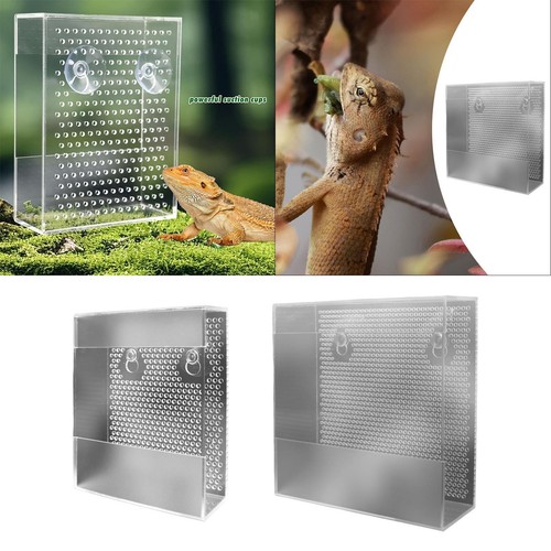 Acrylic reptile feeder tank - acrylic,