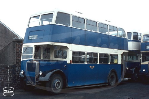 Bus photo paton - paton, renfrew
