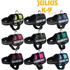 Julius strong adjustable - k9®,