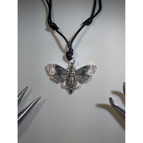 Deaths head moth - deaths,