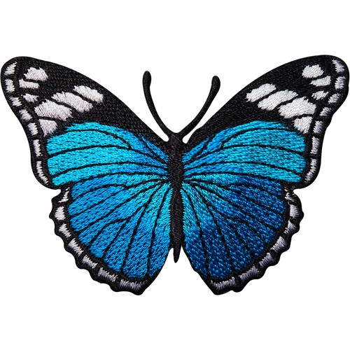 Turquoise blue butterfly - turquoise,
