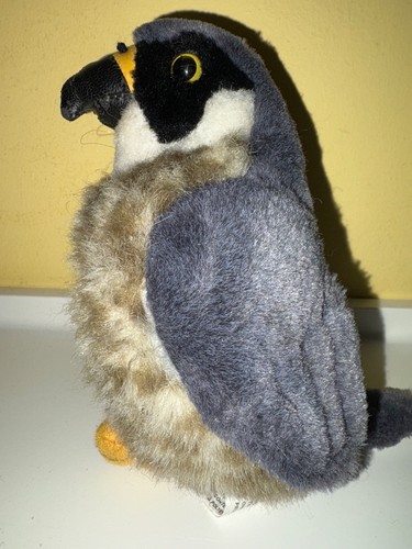 International peregrine - k&m,