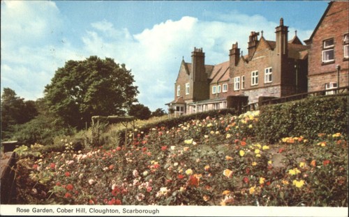 Vintage rose garden cober hill - vintage,