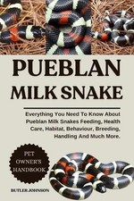 Pueblan Milk Snake: Everything